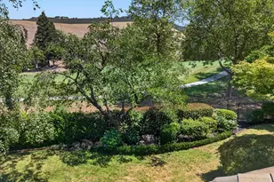 549 Buttonwood Dr, Danville, CA 94506 - Photo 72