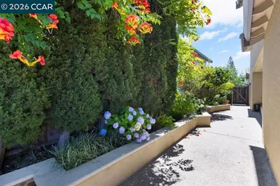 318 Sunset Dr, Danville, CA 94506 - Photo 12