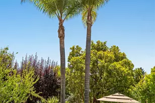 116 Victoria Pl, Danville, CA 94506 - Photo 78