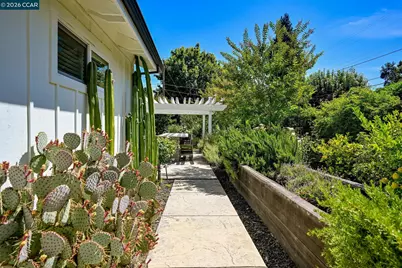 128 Via Bonita, Alamo, CA 94507 - Photo 52
