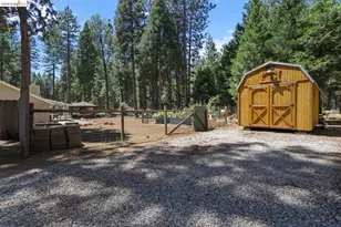 31444 Emigrant Trail, Shingletown, CA 96088 - Photo 28