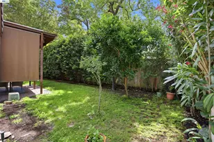 1577 Silverwood Ct, Danville, CA 94526 - Photo 50