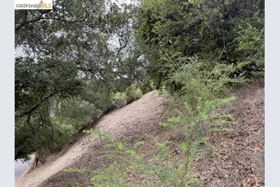 7243 Thorndale Drive, Oakland, CA 94611 - Photo 10
