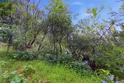 407 Country Club Ln, Napa, CA 94558 - Photo 94