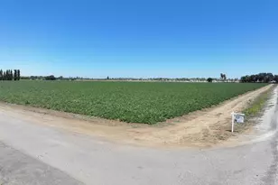 Bixler Rd, Byron, CA 94514 - Photo 1