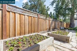 102 Belgian Dr, Danville, CA 94526 - Photo 60