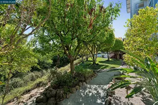 905 Dana Highlands Ct, Lafayette, CA 94549 - Photo 46