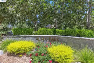 1315 Alma Ave, Walnut Creek, CA 94596 - Photo 56