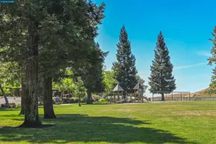 219 Viewpoint Dr, Danville, CA 94506 - Photo 36