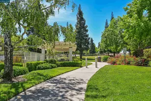 219 Viewpoint Dr, Danville, CA 94506 - Photo 32