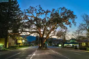 219 Viewpoint Dr, Danville, CA 94506 - Photo 44