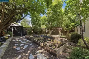 601 Ambience Way, Danville, CA 94506 - Photo 40