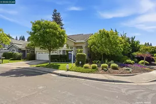 601 Ambience Way, Danville, CA 94506 - Photo 46