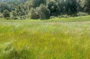 1180 Bear Creek Rd, Martinez, CA 94553 - Photo 1