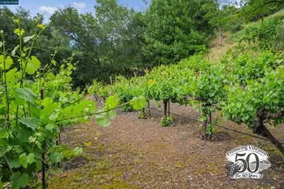 3814 Happy Valley Rd, Lafayette, CA 94549 - Photo 8