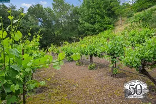 3814 Happy Valley Rd, Lafayette, CA 94549 - Photo 8