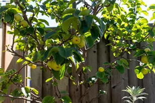 1880 Kappa Ave, San Leandro, CA 94579 - Photo 50