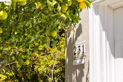 231 Yale Avenue, Kensington, CA 94708 - Photo 2