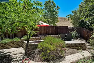 3385 Green Meadow Dr, Danville, CA 94506 - Photo 42