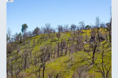 15676 Corral Hollow Rd, Tracy, CA 95377 - Photo 24