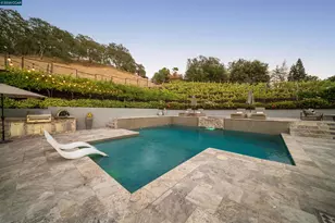 330 Twin Peaks Ln, Alamo, CA 94507 - Photo 48