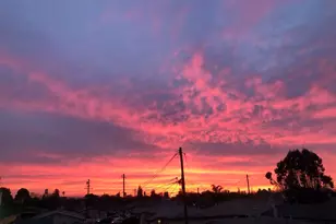 668 Grand Terrace, Hayward, CA 94541 - Photo 40
