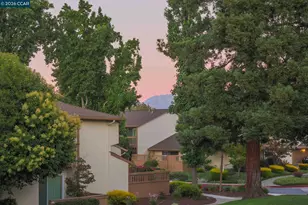 1927 Olmo Way, Walnut Creek, CA 94598 - Photo 32