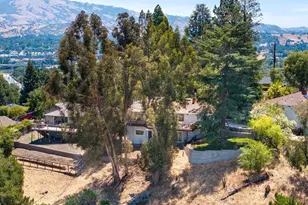 16 Ruth Ct, Lafayette, CA 94549 - Photo 42