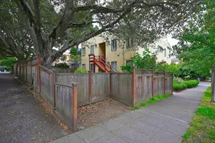 1301 Bonita, Berkeley, CA 94709 - Photo 48