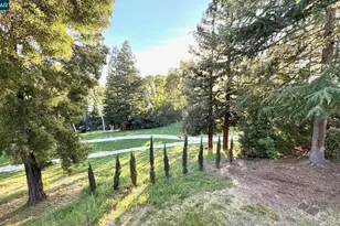 246 Canyon Woods Way, San Ramon, CA 94582 - Photo 42