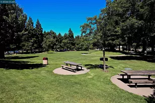 1336 Canyon Side Ave, San Ramon, CA 94582 - Photo 40