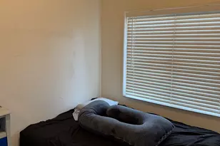 3227 Galindo St, Oakland, CA 94601 - Photo 14