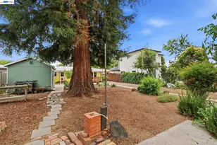 35533 Linda Dr, Fremont, CA 94536 - Photo 44