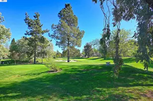 597 St George Rd, Danville, CA 94526 - Photo 28
