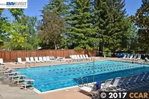 597 St George Rd, Danville, CA 94526 - Photo 56