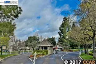 597 St George Rd, Danville, CA 94526 - Photo 44