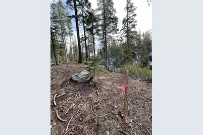 7217 Palisade Road, Soda Springs, CA 95728 - Photo 10