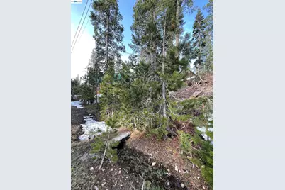 7217 Palisade Road, Soda Springs, CA 95728 - Photo 8