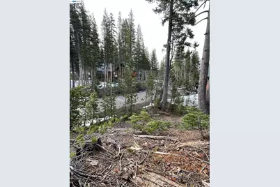 7217 Palisade Road, Soda Springs, CA 95728 - Photo 6