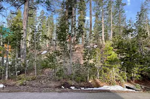 7217 Palisade Rd, Soda Springs, CA 95728 - Photo 1