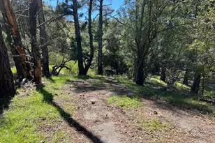 58 Zander Ct, Orinda, CA 94563 - Photo 12