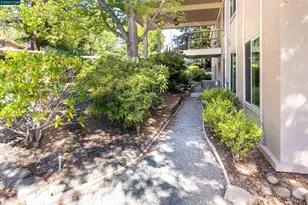 3112 Terra Granada, Walnut Creek, CA 94595 - Photo 30