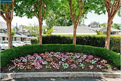 14 Danville Oak Pl, Danville, CA 94626 - Photo 36
