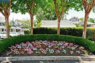 14 Danville Oak Pl, Danville, CA 94626 - Photo 36