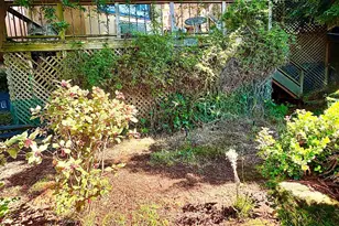 916 Cragmont Ave, Berkeley, CA 94708 - Photo 30