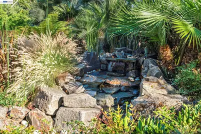1439 Vine Ln, Alamo, CA 94507 - Photo 54