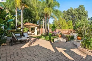 1439 Vine Ln, Alamo, CA 94507 - Photo 58