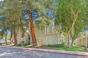 3655 Birchwood Terrace, Fremont, CA 94536 - Photo 28