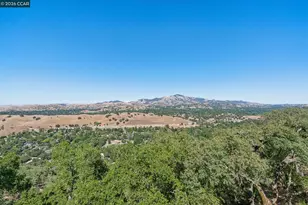 321 Castle Crest Rd, Alamo, CA 94507 - Photo 30