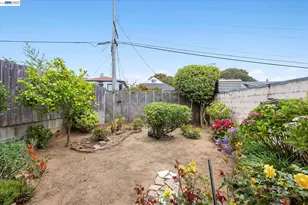 20 Dorado Terrace, San Francisco, CA 94112 - Photo 38